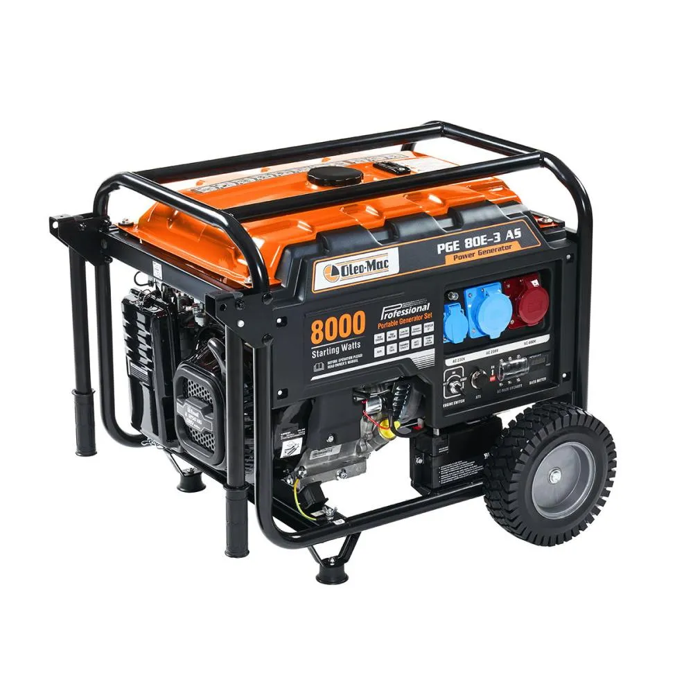 Olemac Pge 80E-3 Eur5 Jeneratör 8,12 kVA Marşlı Dual